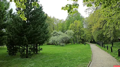 Парк коломенское сады (71 фото) - 71 фото