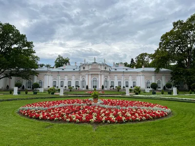 Ораниенбаум. Китайский дворец как драгоценная шкатулка | travelstar_ushka |  Дзен