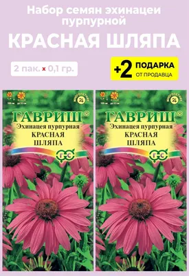 Эхинацея пурпурная и не только. Выращивание и уход в открытом грунте | Ваше  хозяйство | Дзен