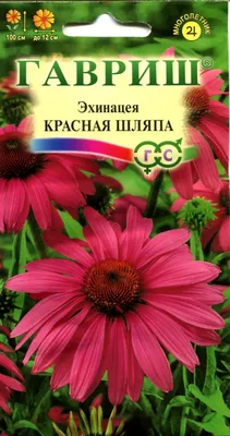 Эхинацея, рудбекия пурпурная Красная шляпа, 0,1 г, купить в интернет  магазине Seedspost.ru