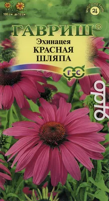 Семена Эхинацея пурпурная \"Красная шляпа\", 2 упаковки + 2 подарка — купить  в интернет-магазине по низкой цене на Яндекс Маркете
