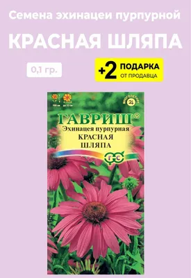 Эхинацея пурпурная и не только. Выращивание и уход в открытом грунте | Ваше  хозяйство | Дзен