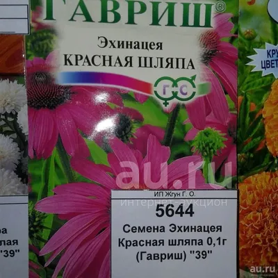 Эхинацея \"Красная Шляпа\", семена цветов купить по цене 53 ₽ в  интернет-магазине KazanExpress