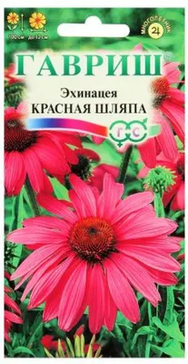 Семена Эхинацеи - купить недорого в интернет магазине почтой в России |  Долина Сад