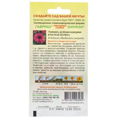 Эхинацея - « декоративное и лекарственное растение» | отзывы