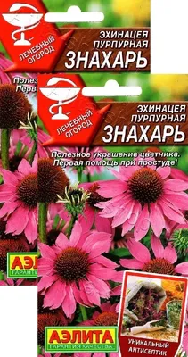 Семена Гавриш Эхинацея Красная Шляпа - «Самая высокая астровая эхинацея!  Цветение в первый год!» | отзывы