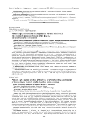 Эхинококкоз - причины появления, симптомы заболевания, диагностика и  способы лечения