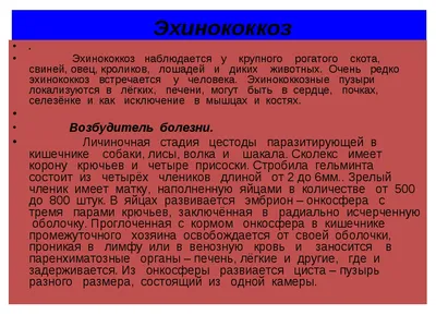 PDF) SINGLE CHAMBER (HYDATID) ECHINOCOCCOSIS