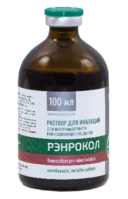 35 О. Н. Домашенко, А. Д. Шаталов, Д. С. Паниева ЭХИНОКОККОЗ ПЕЧЕНИ: ДИАГНО