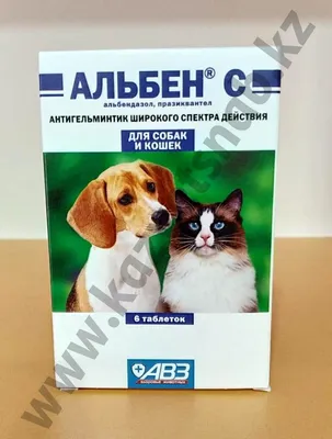 Онищенко: Эхинококкоз распространяется у собак из-за плохих ветеринаров