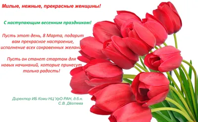 Поздравляем с 8 марта! » 24Warez.ru - Эксклюзивные НОВИНКИ и РЕЛИЗЫ