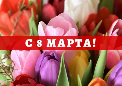 Топ 7 идей, что подарить на 8 марта 🎁