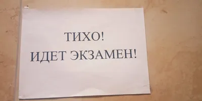 Приходит студент духовной семинарии сдавать экзамен. Батюшка ему и говорит:  - Знаю сын мой. Первый раз вести проповедь страшно. - Ну ты и… | Студенты,  Сынни, Библия