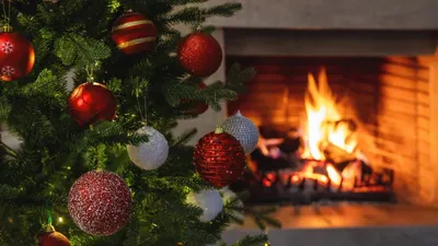 Названы главные признаки качественной новогодней елки