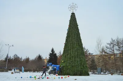 В Октябрьском районе Красноярска будет две новогодние елки -  KrasnoyarskMedia