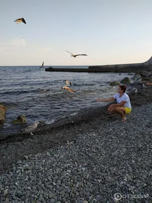 Сдам в аренду эллинг в Алуште, Семидворье, кооператив Дельфин