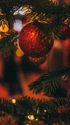 Скачать 1080x1920 елочная игрушка, елка, рождество, новый год, размытость,  украшение обо… | Рождественские пейзажи, Рождественские изображения,  Рождественские узоры