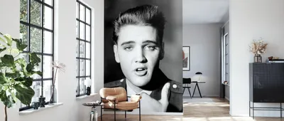 Элвис Пресли – потрясающая фотообои – Photowall