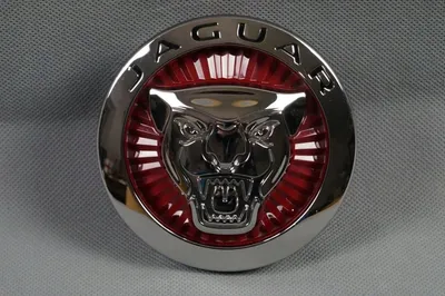 JAGUAR Front Grille Emblem F-Type F-Pace XE XF XFR XFR-S XJ XJR XJR575  2014-2019 | eBay