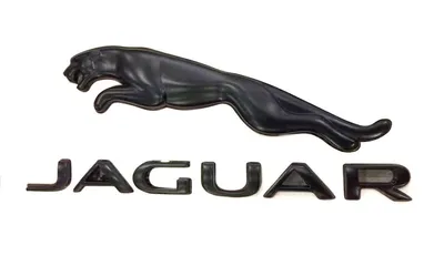 Emblem of Jaguar company on car at daytime – Stock Editorial Photo © man64  #100733752