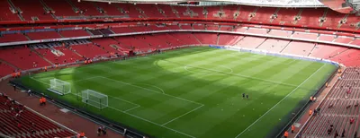 На стадионе лондонского Арсенала завелись мыши - Футбол 24