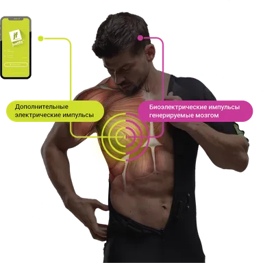 EMS – фитнес. Фитнес для ленивых. Быстро и эффективно похудеть. - Чемпионат