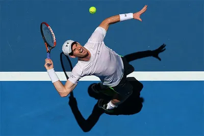 Энди Маррей и Роджер Федерер попали в одну четверть Australian Open