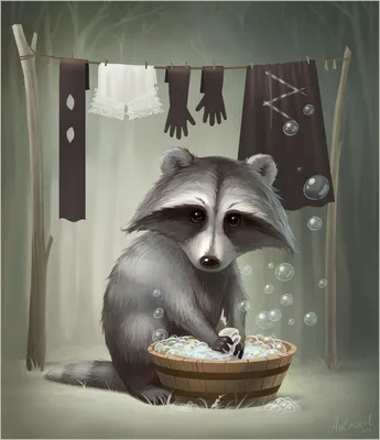 енот-полоскун | Raccoon illustration, Animal illustration art, Animal  paintings