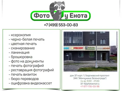 Фото у Енота, фотоцентр в Зеленограде, Георгиевский проспект, 37 к1 |  адрес, телефон, режим работы, отзывы