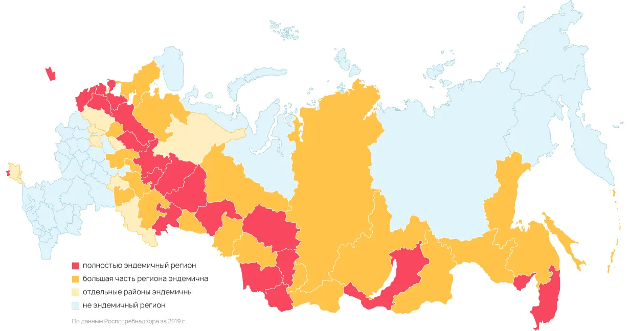 Территория распространения заболеваний называется. Карта распространения клещевого энцефалита в России. Зоны распространения энцефалитного клеща в России. Клещевой боррелиоз распространение в России в 2021. Энцефалитный клещ распространение в России.