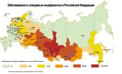 Энцефалитный клещ