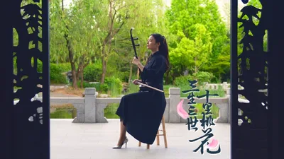 Эрху - китайский народный инструмент - Страница 2 - Музыкальный форум