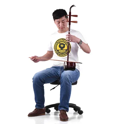 Китайская 2-струнная скрипка от Solidwood Erhu, модель музыкального  инструмента подарок на день рождения ручной работы, музыкальный инструмент  с полкой - купить по выгодной цене | AliExpress