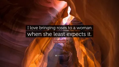 Эсай Моралес цитата: «Я люблю дарить розы женщине, когда она меньше всего этого ожидает».