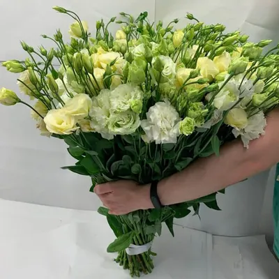 41 желтая эустома в букете | Бесплатная доставка цветов по Москве