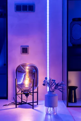 Какой свет лучше – теплый или холодный, или нейтральный цвет ламп для  квартиры и улицы | Houzz Россия
