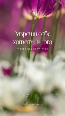 Пин от пользователя Malinka_bouquet на доске Психология в 2023 г |  Счастливые девушки цитаты, Цитаты, Цитаты о вдохновении