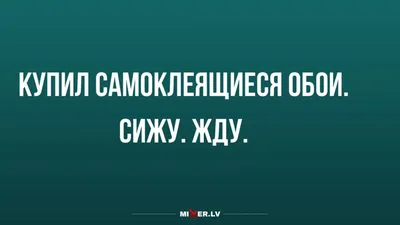 Юмор за день и поклейка обоев | Mixnews