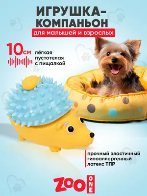 Игрушка для собак с пищалкой (мягкий латекс) Zoo One Ёжик в шапке из TPR 10  см L-424 - купить с доставкой по выгодным ценам в интернет-магазине OZON  (288912133)
