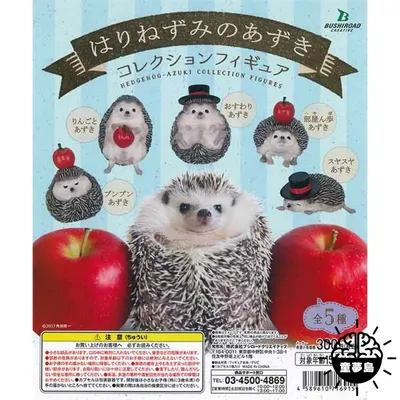 Camon (Камон) - игрушка для кошек Ежик в шапке 9 см купить Игрушки для  кошек Camon | Zoolandia