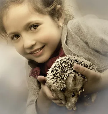 Фото Девочка держит в руках ежика и улыбается