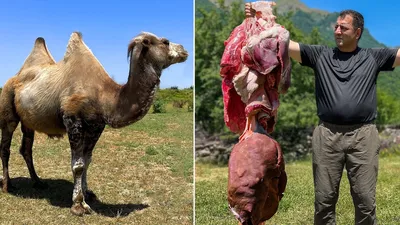 На них даже смотреть страшно! Эти блюда испугают даже самого смелого  человека | Телеканал Пятница! | Дзен