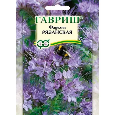 Купить Фацелия Рязанская 20гр недорого по цене 60руб.|Garden-zoo.ru