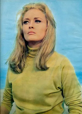 Скачать обои Портрет американской актрисы Фэй Данауэй, 1968 год | Обои .com