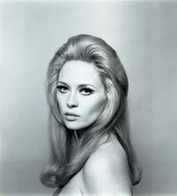 Скачать обои Портрет сексуальной американской актрисы Фэй Данауэй 1970-х годов | Обои.com