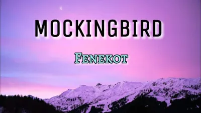 Fenekot - Mockingbird (A Little Boy) ~ (Lyrics) | #mockingbird - YouTube