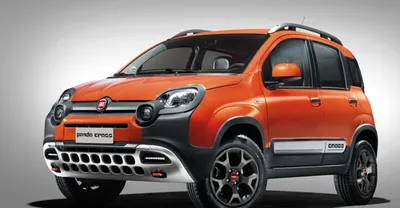 Fiat Panda buyer's guide - Classics World