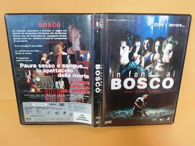 01693 DVD - В FONDO AL BOSCO - Филиппо Нигро Камилла Филиппи Джованни Ветторацц | eBay