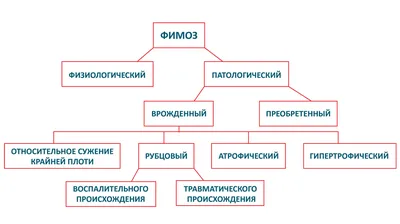 Фимоз у взрослых мужчин | Причины, лечение и профилактика | \