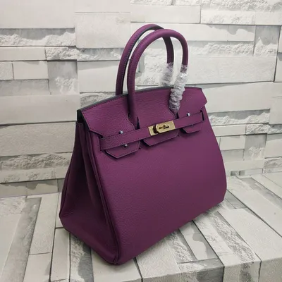 Hermes Birkin Bag Togo Leather Gold Hardware In Purple